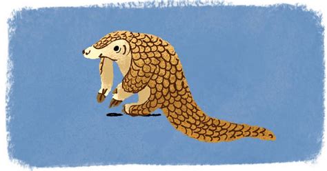 Google doodles pangolin. Things To Know About Google doodles pangolin. 